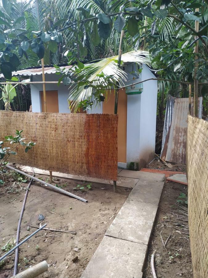 Mecong Homestay Ben Tre المظهر الخارجي الصورة