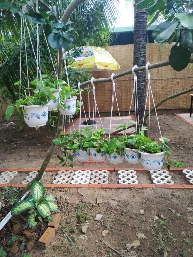 Mecong Homestay Ben Tre المظهر الخارجي الصورة